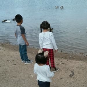 Meet your Posher, Gaming